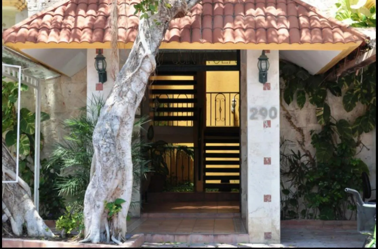 Lovely Quinta Avenida Apartments Playa del Carmen